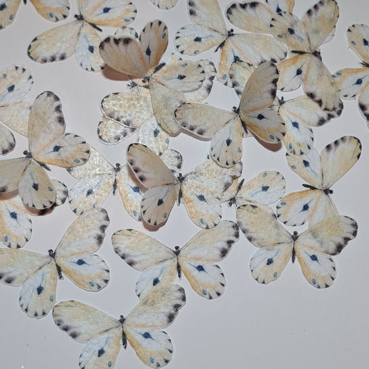 Wafer Butterfly - Pre-cut Peach