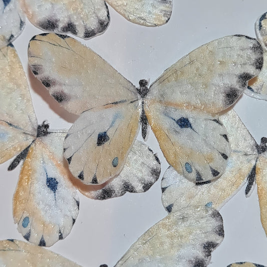 Wafer Butterfly - Pre-cut Peach