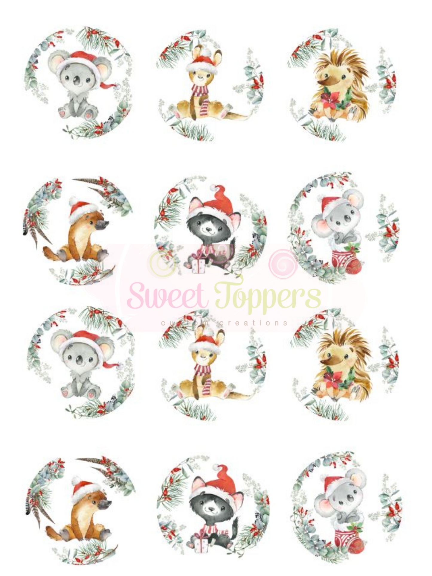 Baby Australian animal Christmas (12)