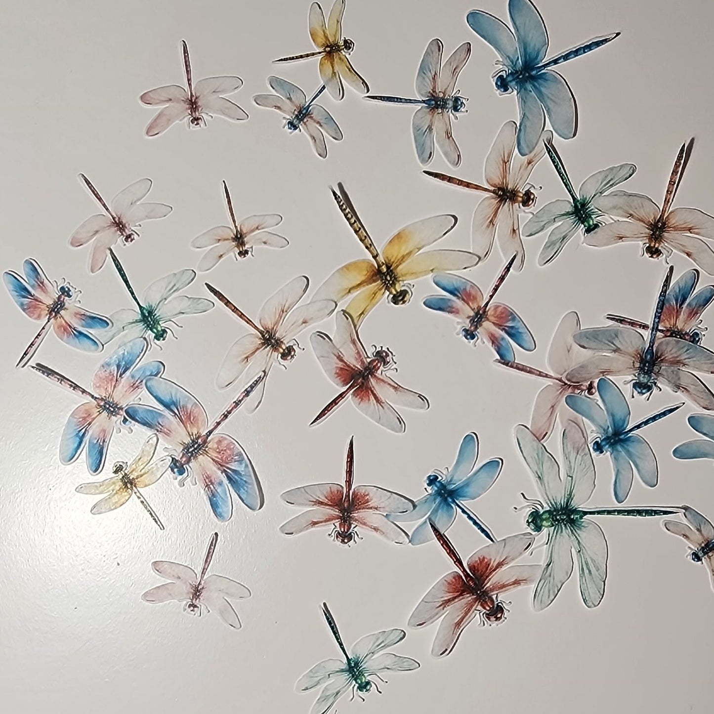 Colourful Dragonflies - Pre-cut wafer images