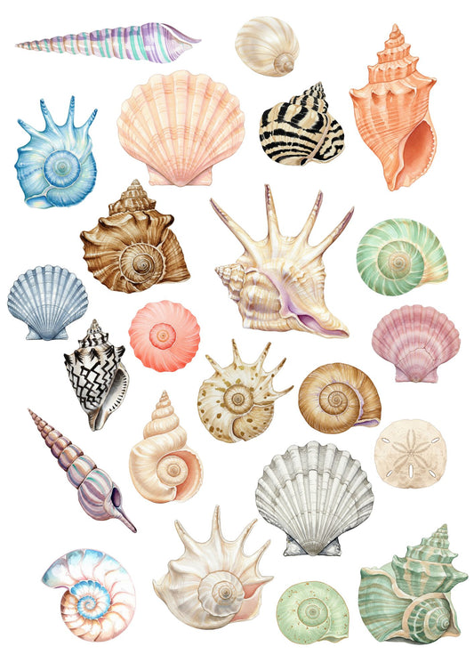 Seashells collection - pre-cut edible icing stickers