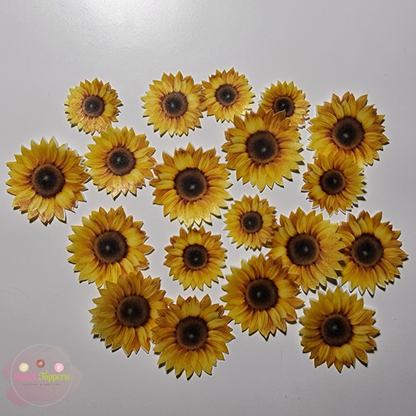 25 Pre-cut edible wafer Sunflowers
