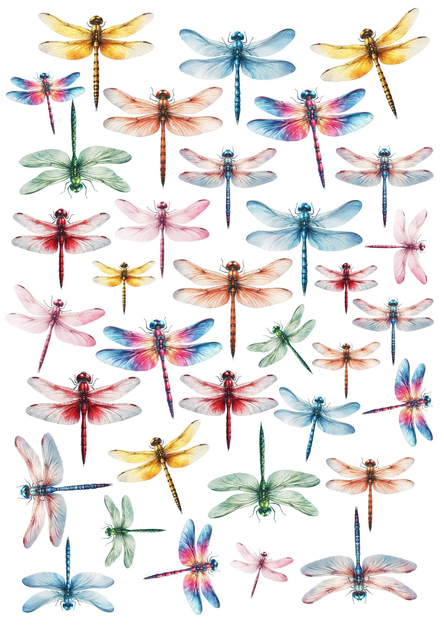 Colourful Dragonflies - Pre-cut wafer images