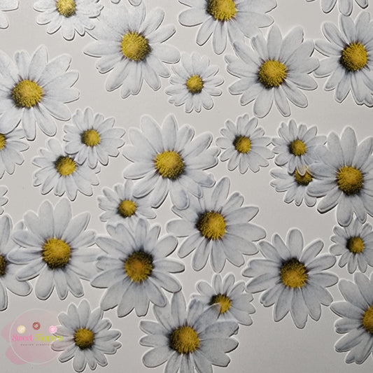 35 Pre-cut edible wafer Daisies - cake and cupcake topper decoration